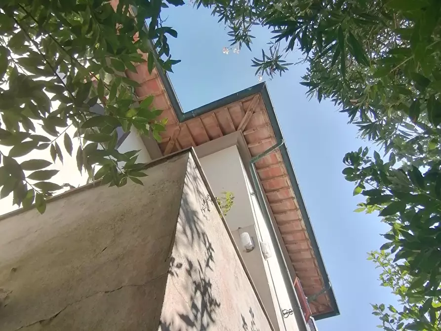Immagine 10 di Villa in vendita  a Vicopisano
