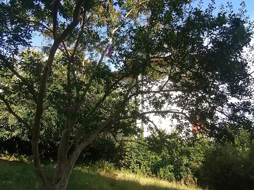 Immagine 11 di Villa in vendita  a Vicopisano