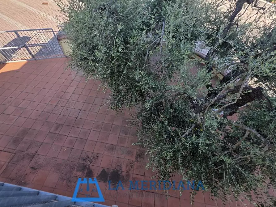 Immagine 17 di Terratetto in vendita  a Cerreto Guidi