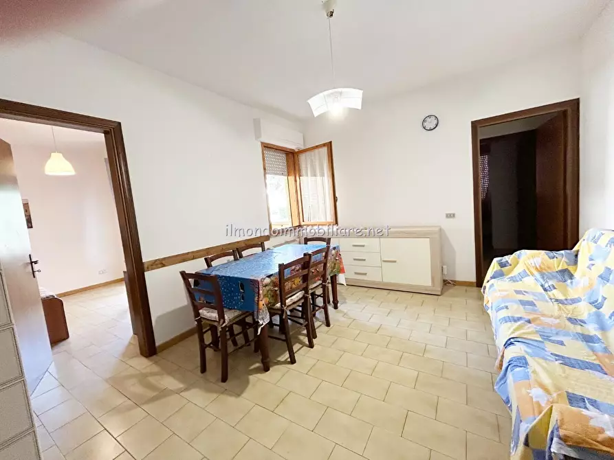 Immagine 2 di Appartamento in affitto  a Rosignano Marittimo
