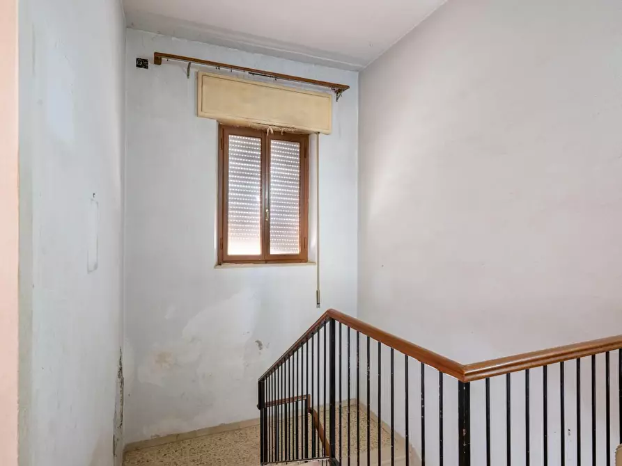 Immagine 12 di Casa bifamiliare in vendita  a Buti