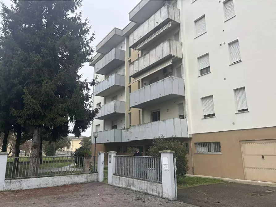 Immagine 8 di Appartamento in vendita  a San Possidonio