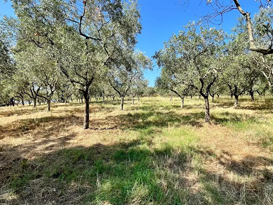 Immagine 8 di Casa semindipendente in vendita  a Larciano