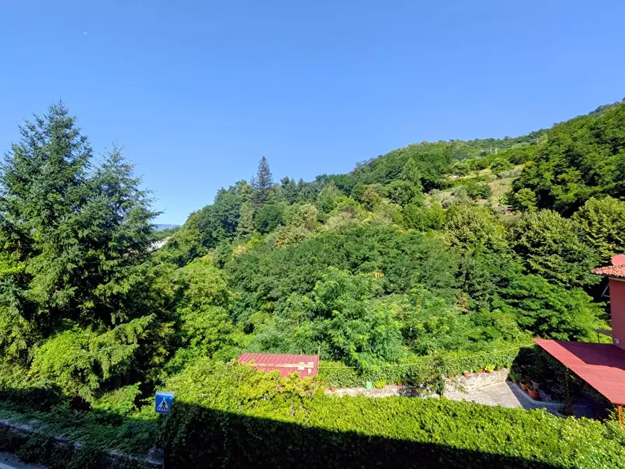 Immagine 36 di Terratetto in vendita  a Barga