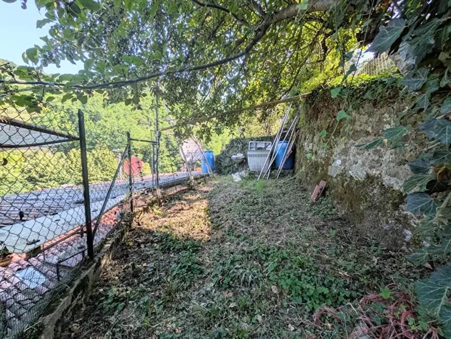 Immagine 38 di Terratetto in vendita  a Barga