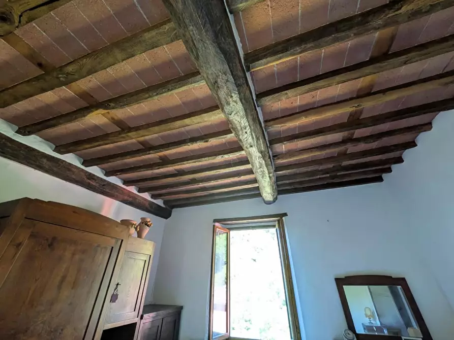 Immagine 33 di Terratetto in vendita  a Barga