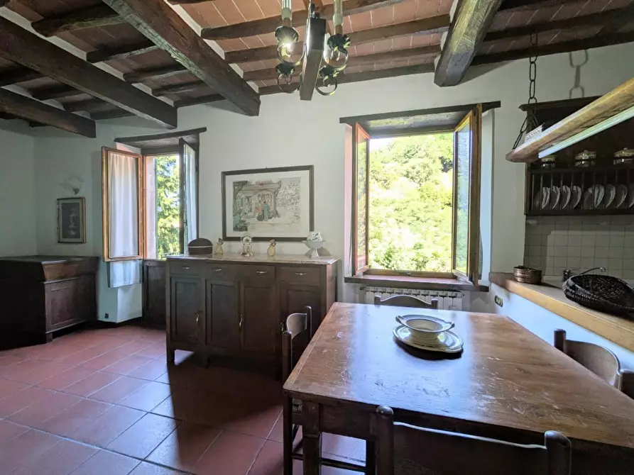 Immagine 11 di Terratetto in vendita  a Barga