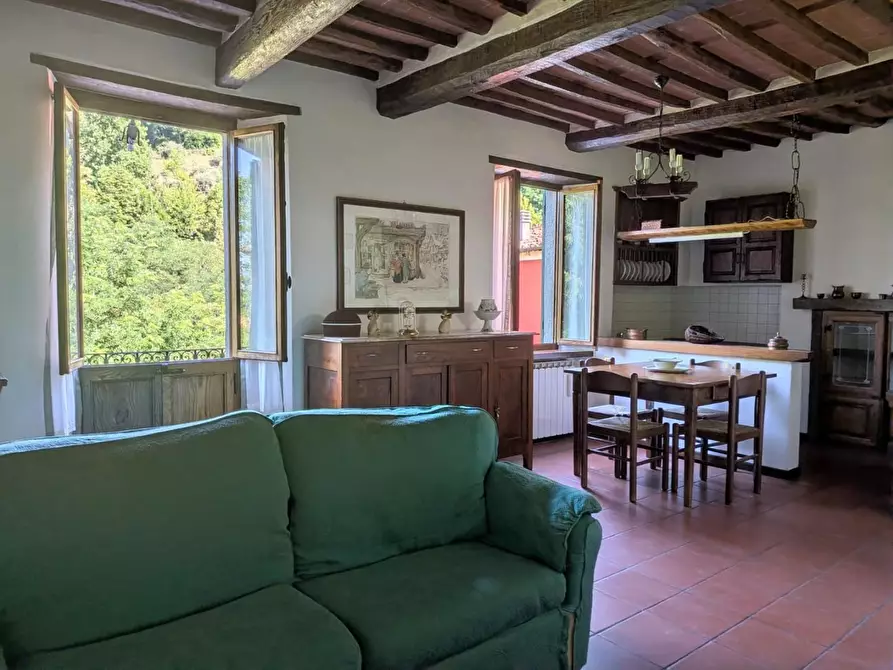 Immagine 13 di Terratetto in vendita  a Barga