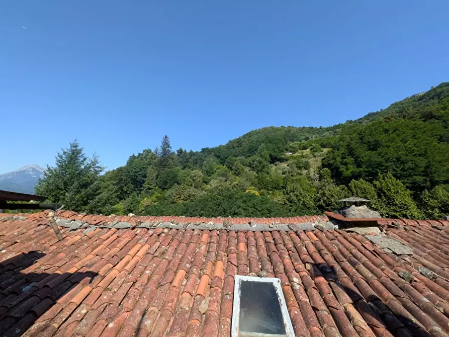 Immagine 35 di Terratetto in vendita  a Barga