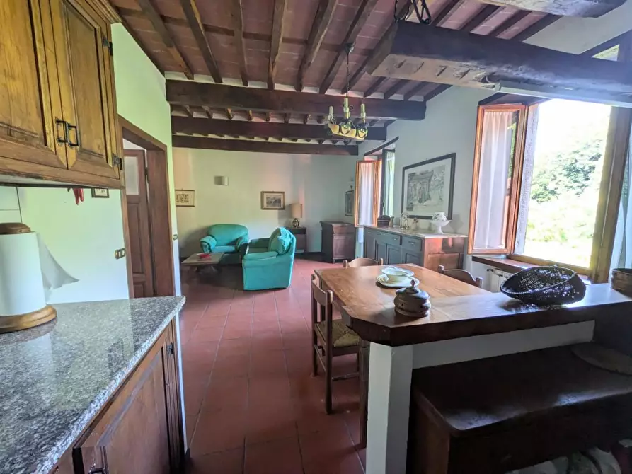 Immagine 23 di Terratetto in vendita  a Barga