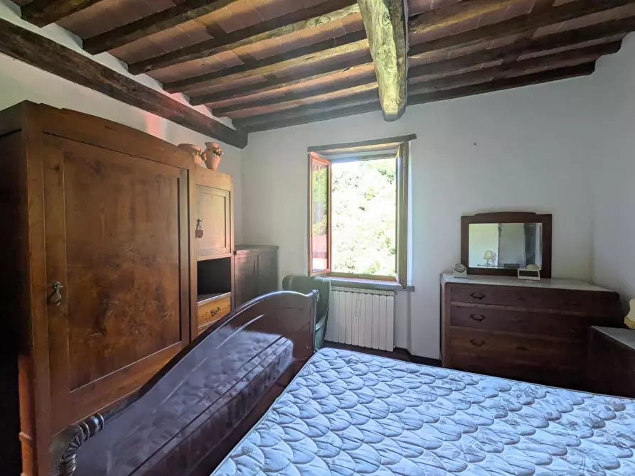 Immagine 31 di Terratetto in vendita  a Barga