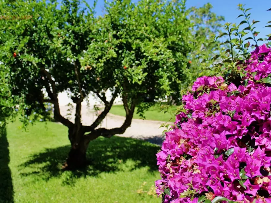 Immagine 13 di Albergo/B&B/Residence in vendita  a Gallipoli