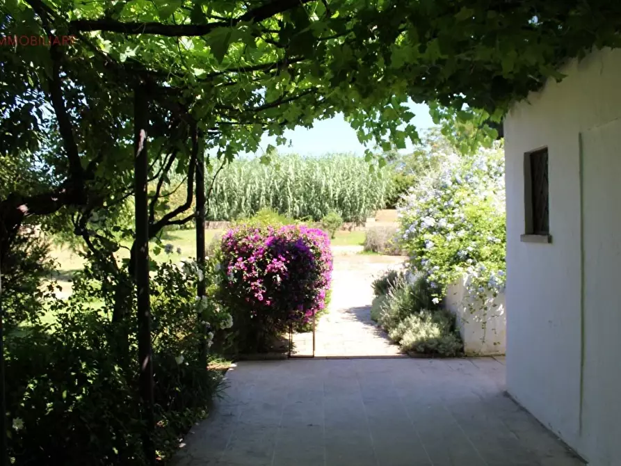 Immagine 20 di Albergo/B&B/Residence in vendita  a Gallipoli