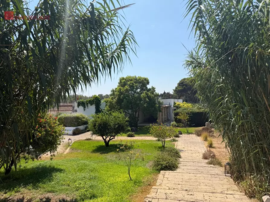 Immagine 104 di Albergo/B&B/Residence in vendita  a Gallipoli