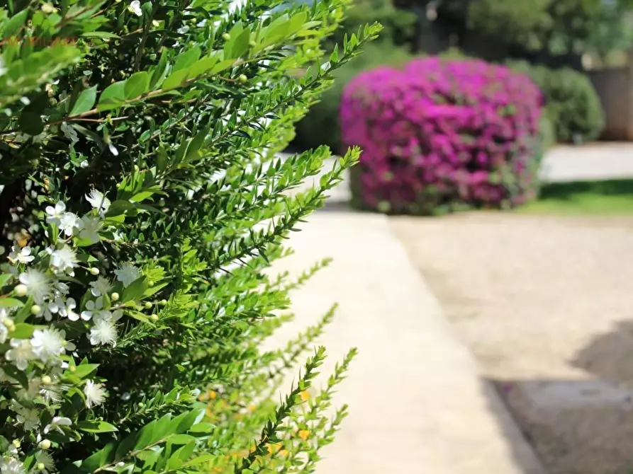 Immagine 17 di Albergo/B&B/Residence in vendita  a Gallipoli
