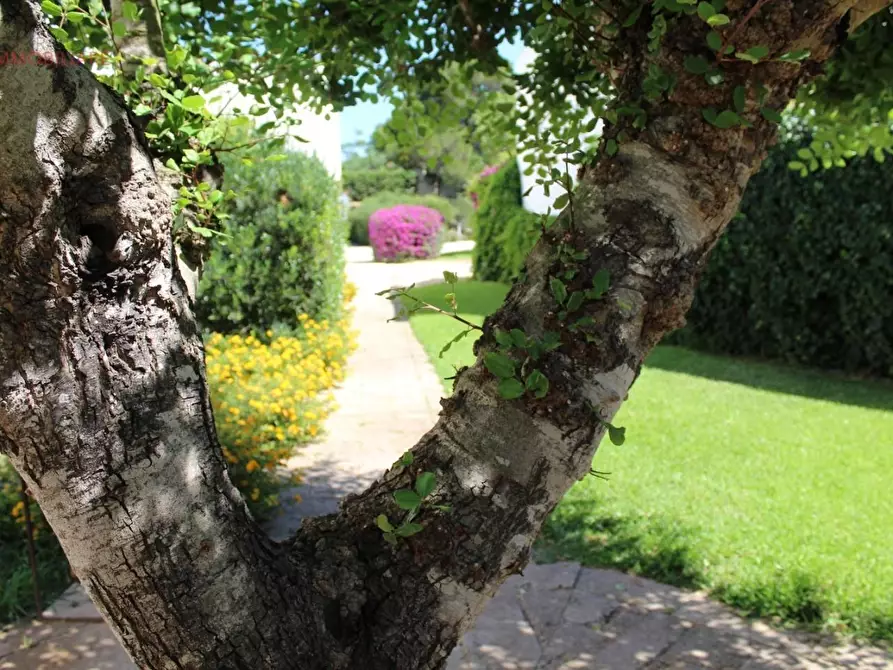 Immagine 16 di Albergo/B&B/Residence in vendita  a Gallipoli