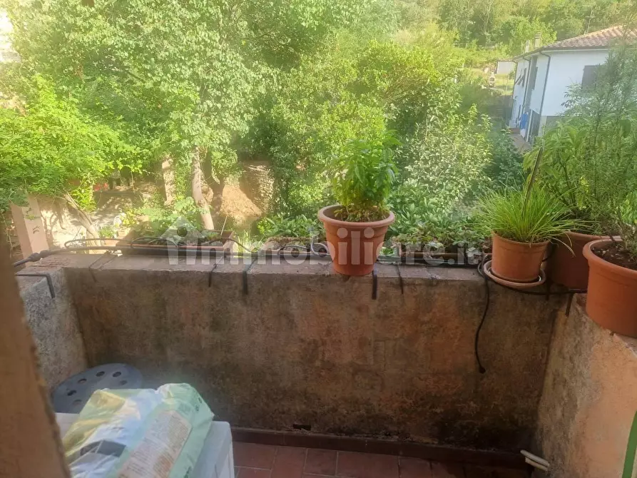 Immagine 1 di Terratetto in vendita  a Calci