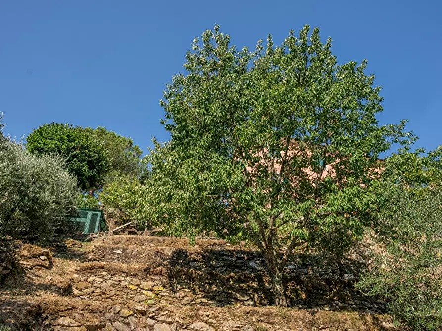 Immagine 47 di Appartamento in vendita  a Calci