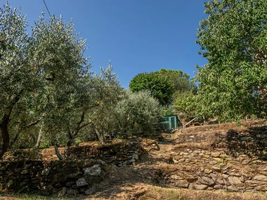 Immagine 48 di Appartamento in vendita  a Calci