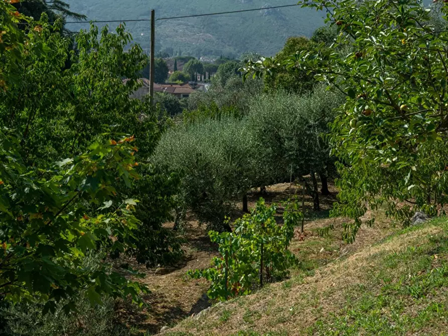 Immagine 39 di Appartamento in vendita  a Calci