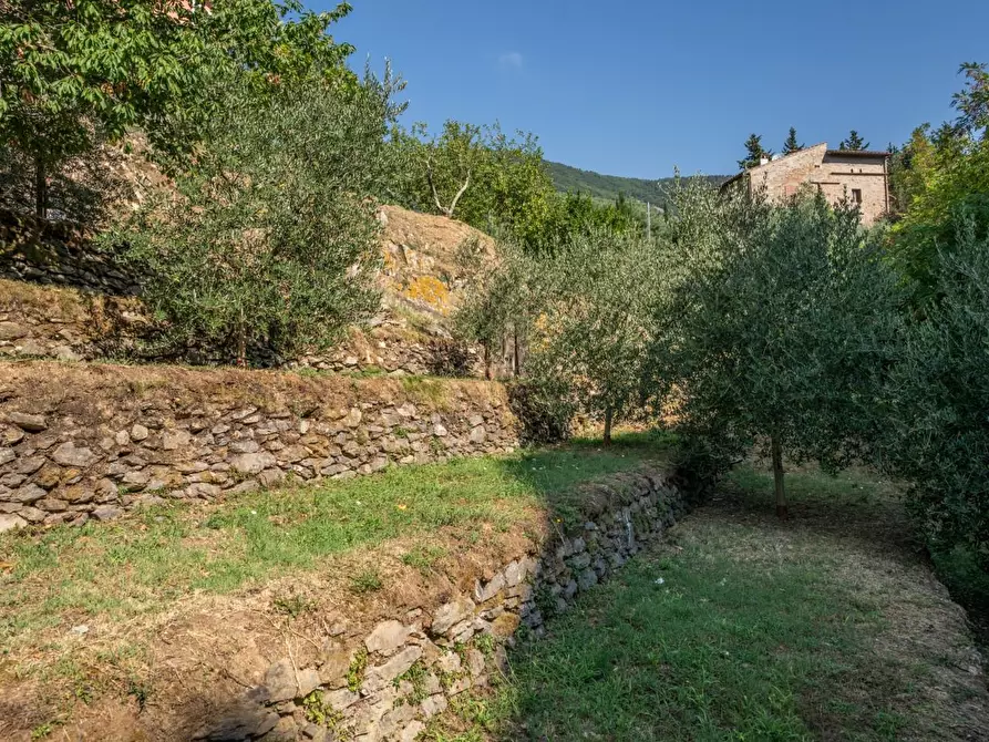 Immagine 46 di Appartamento in vendita  a Calci