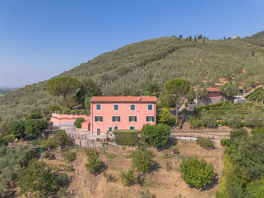 Immagine 64 di Appartamento in vendita  a Calci
