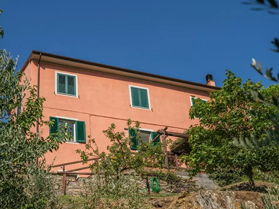 Immagine 49 di Appartamento in vendita  a Calci