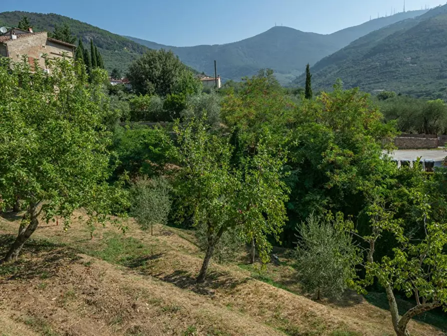 Immagine 38 di Appartamento in vendita  a Calci