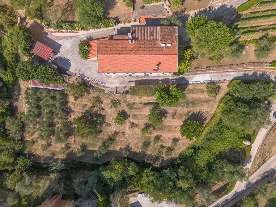 Immagine 65 di Appartamento in vendita  a Calci