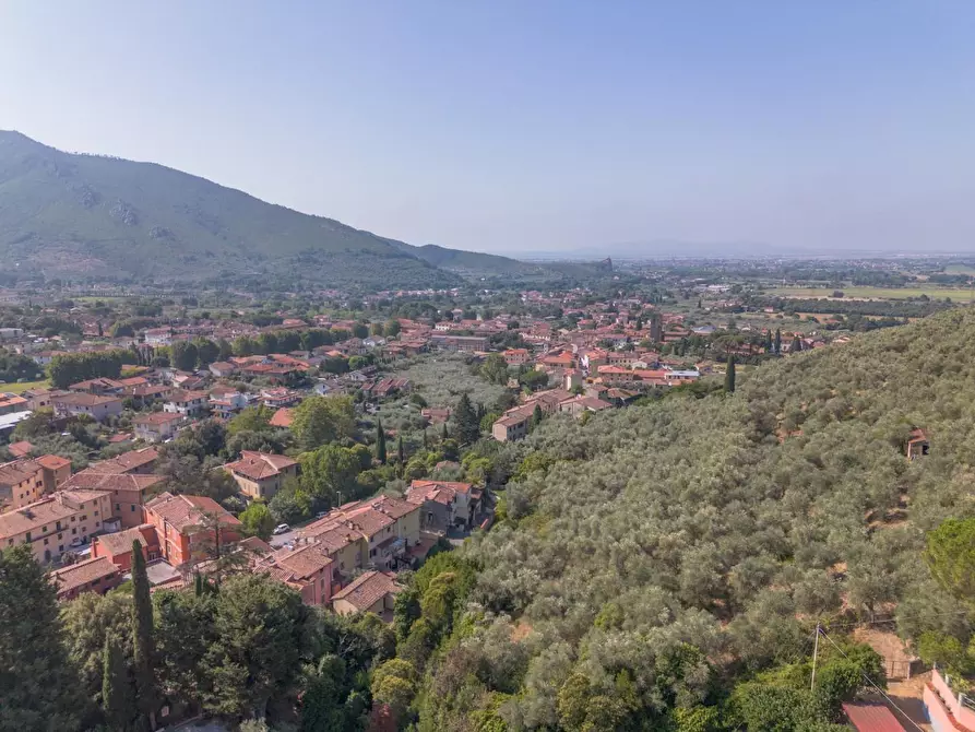 Immagine 62 di Appartamento in vendita  a Calci