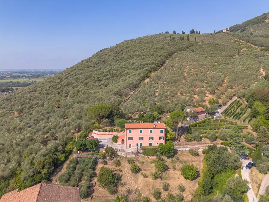 Immagine 60 di Appartamento in vendita  a Calci