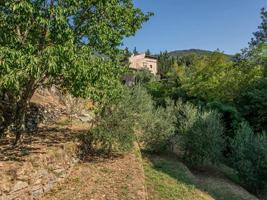 Immagine 45 di Appartamento in vendita  a Calci