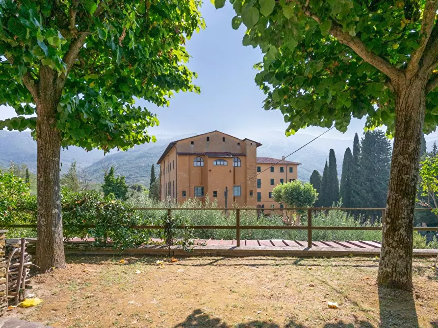 Immagine 56 di Appartamento in vendita  a Calci