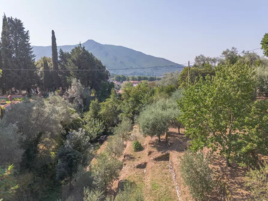 Immagine 68 di Appartamento in vendita  a Calci