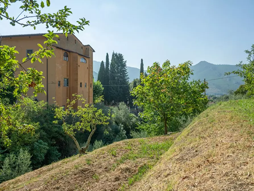 Immagine 41 di Appartamento in vendita  a Calci