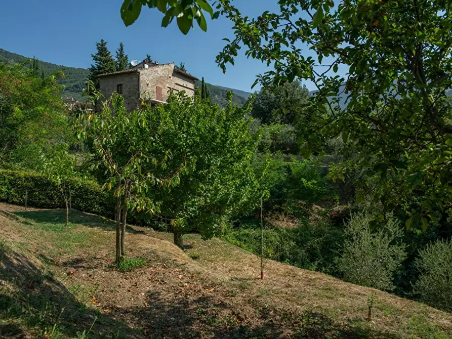 Immagine 40 di Appartamento in vendita  a Calci