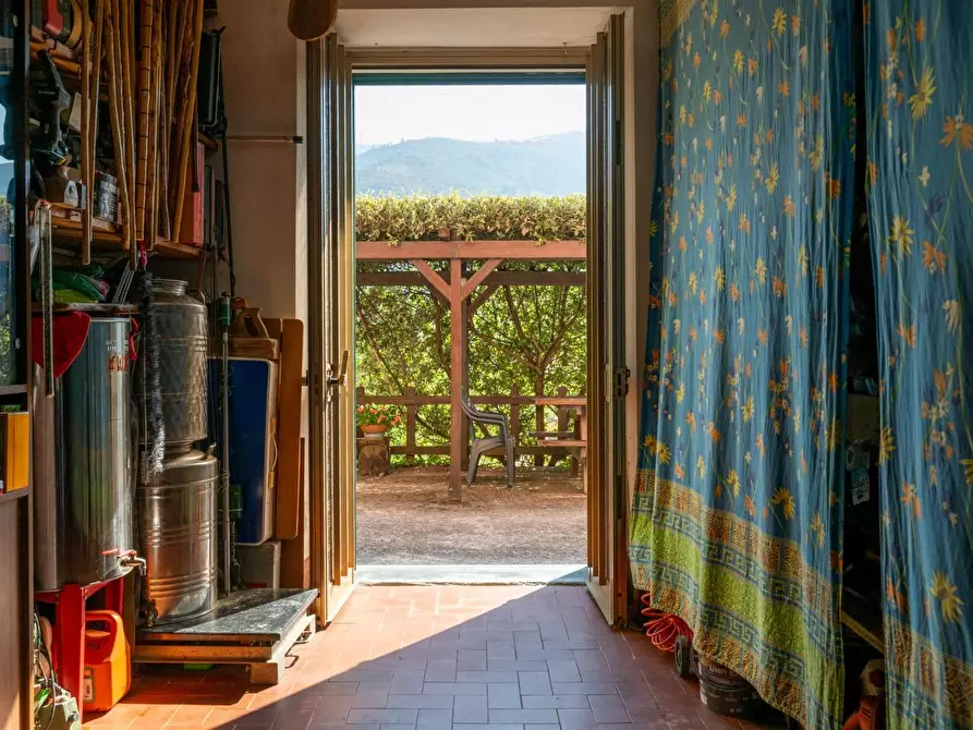 Immagine 51 di Appartamento in vendita  a Calci