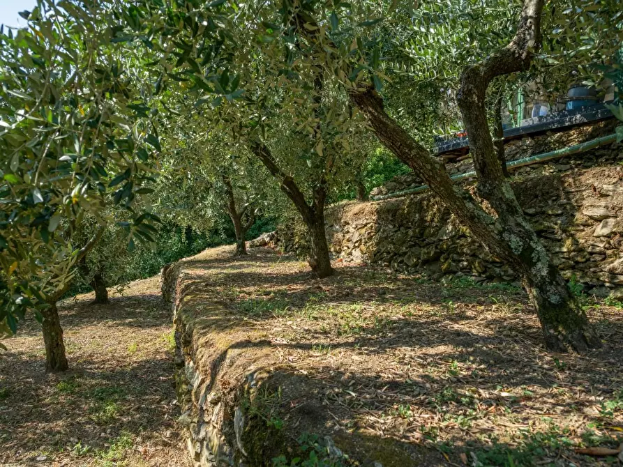 Immagine 43 di Appartamento in vendita  a Calci