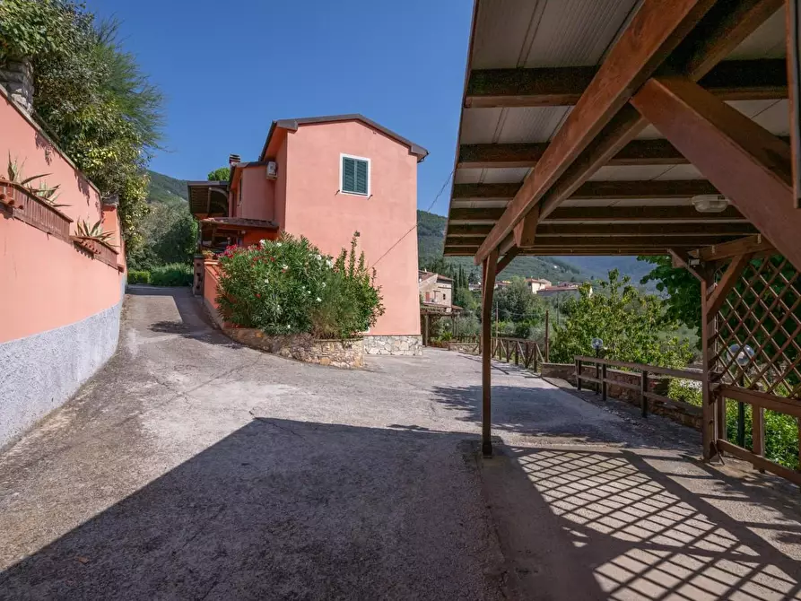 Immagine 58 di Appartamento in vendita  a Calci