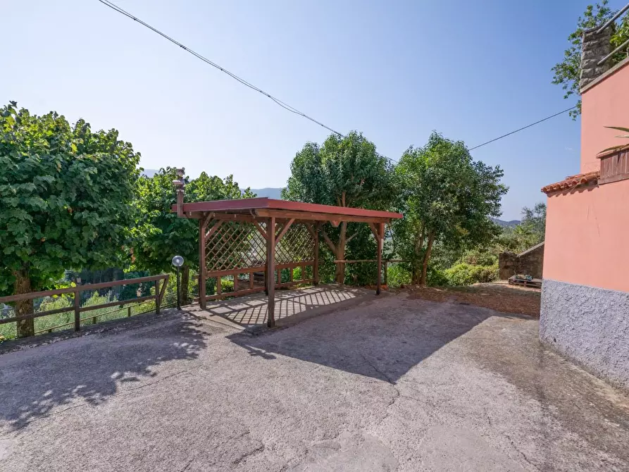 Immagine 57 di Appartamento in vendita  a Calci