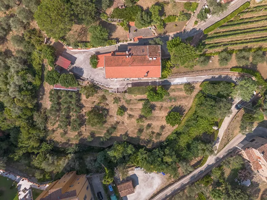 Immagine 66 di Appartamento in vendita  a Calci