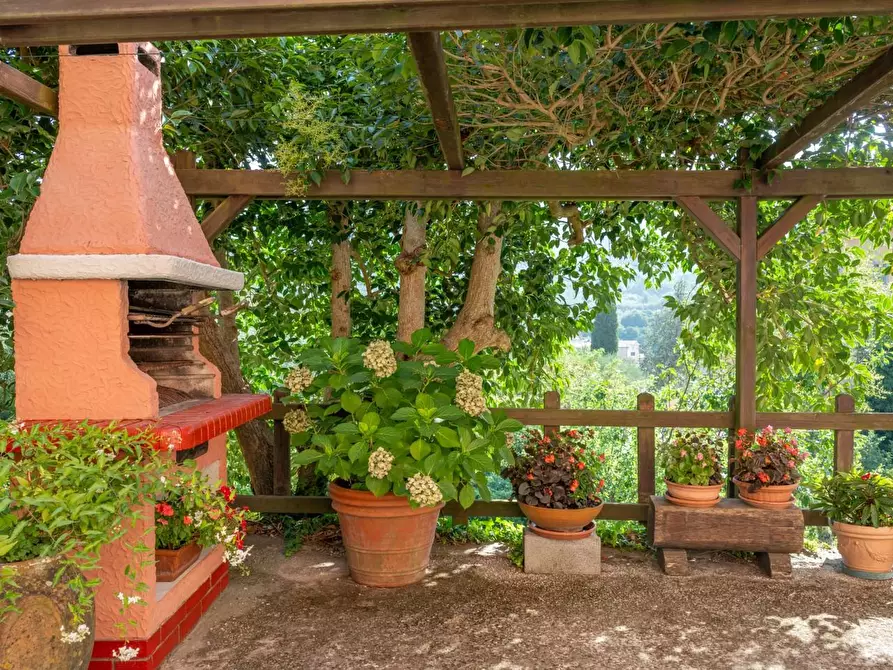 Immagine 35 di Appartamento in vendita  a Calci