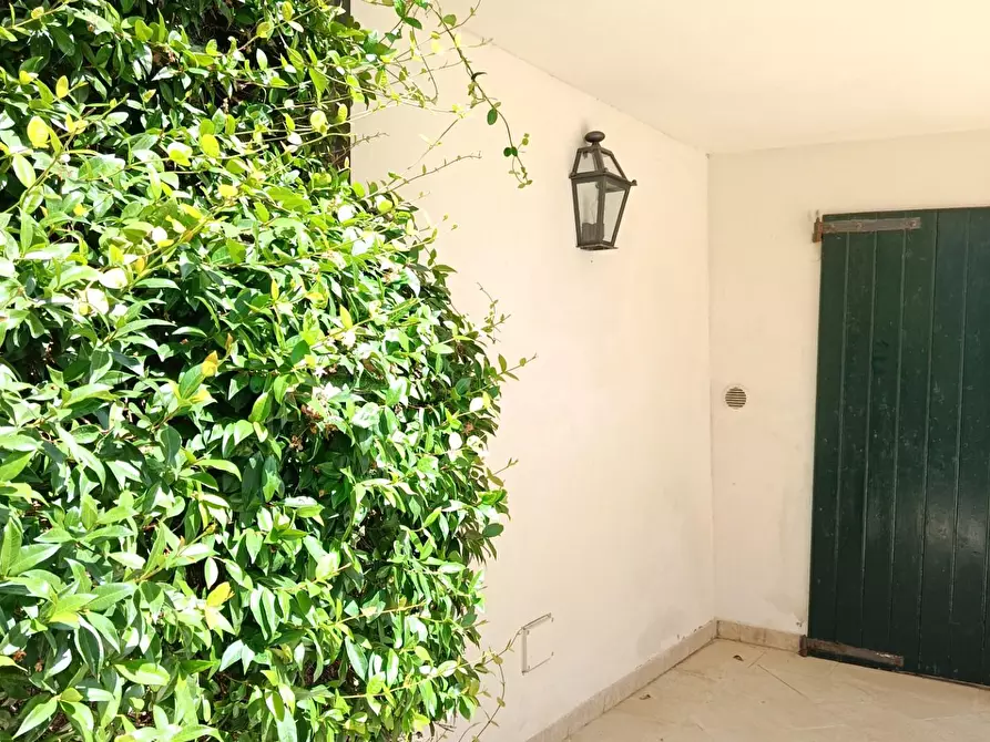 Immagine 16 di Villa in vendita  a Rosignano Marittimo