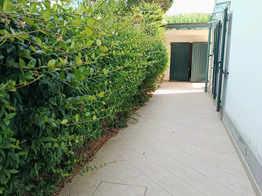 Immagine 14 di Villa in vendita  a Rosignano Marittimo