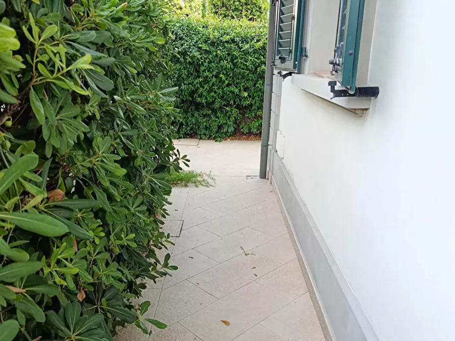 Immagine 17 di Villa in vendita  a Rosignano Marittimo