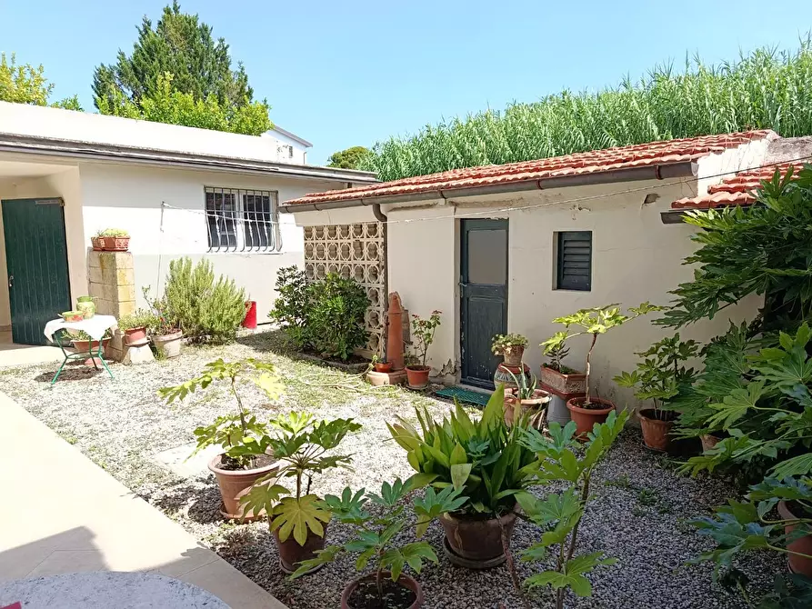Immagine 12 di Villa in vendita  a Rosignano Marittimo