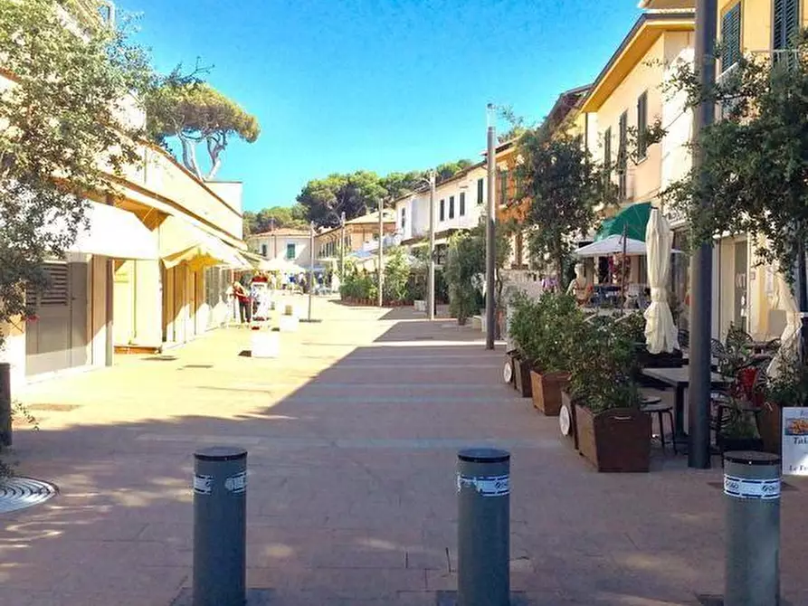 Immagine 2 di Attività commerciale in vendita  a Rosignano Marittimo