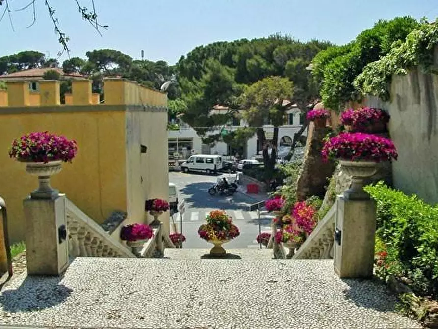 Immagine 12 di Attività commerciale in vendita  a Rosignano Marittimo