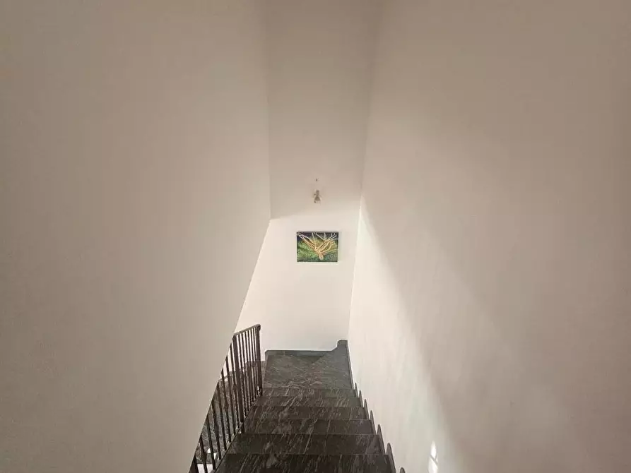 Immagine 19 di Appartamento in vendita  a Crespina Lorenzana