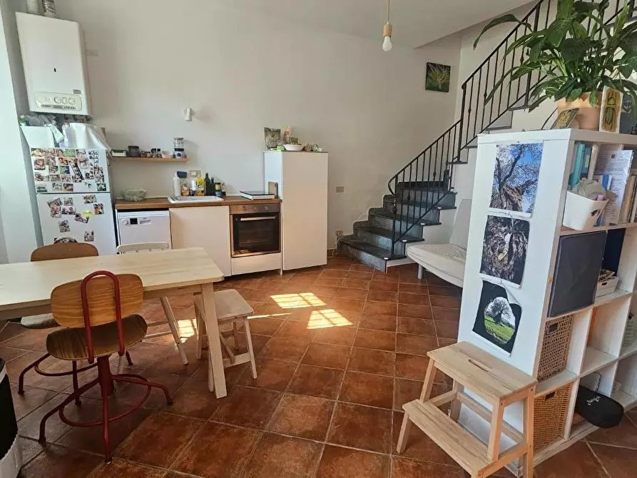 Immagine 9 di Appartamento in vendita  a Crespina Lorenzana